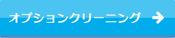 オプションクリーニング